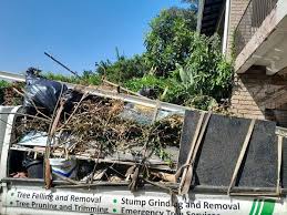 Best Attic Cleanout  in Balfour, NC